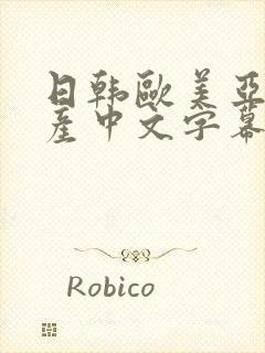 日韩欧美亚洲国产中文字幕封面