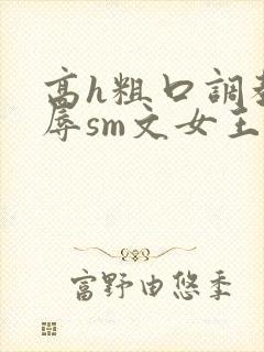 高h粗口调教羞辱sm文女王