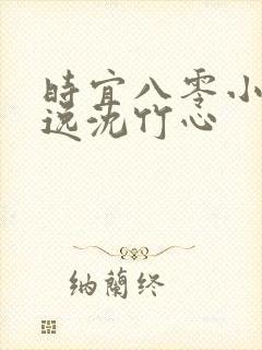 时宜八零小说林逸沈竹心