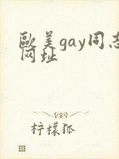 欧美gay同志网址