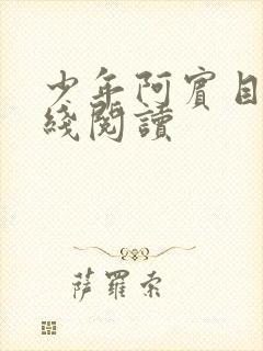 少年阿宾目录在线阅读