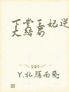 下堂王妃逆袭记大结局