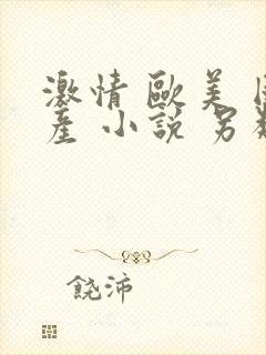 激情 欧美 国产 小说 另类