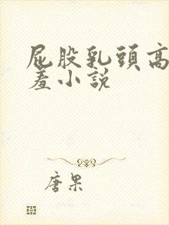 屁股乳头高潮害羞小说