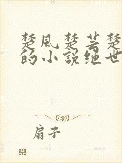 楚风楚芸楚鸿飞的小说绝世神皇