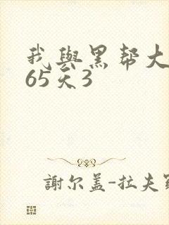 我与黑帮大佬365天3