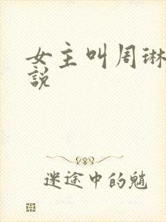 女主叫周琳的小说