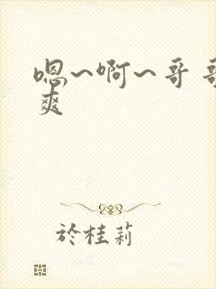 嗯~啊~哥哥好爽封面