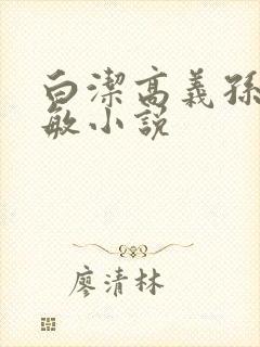 白洁高义孙倩张敏小说封面