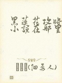 黑莲花攻略手册小说在哪里看免费