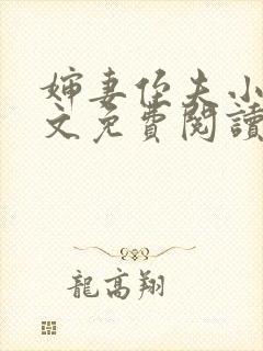 婶妻侄夫小说全文免费阅读最新章节封面