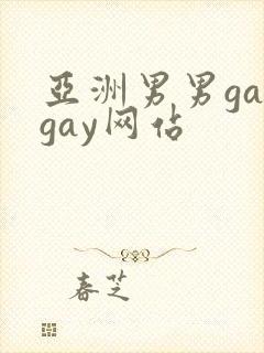 亚洲男男gaygay网站