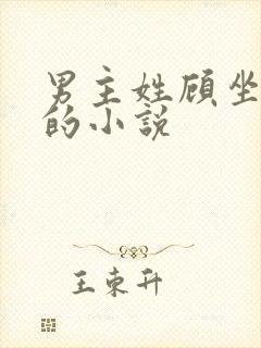 男主姓顾坐轮椅的小说封面