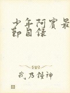 少年阿宾最新章节目录