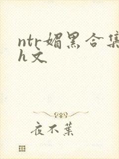 ntr媚黑合集h文