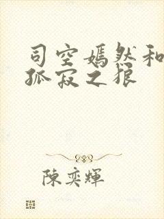 司空嫣然和叶凡孤寂之狼