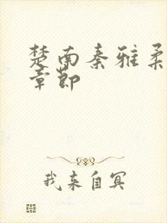 楚南秦雅柔最新章节封面