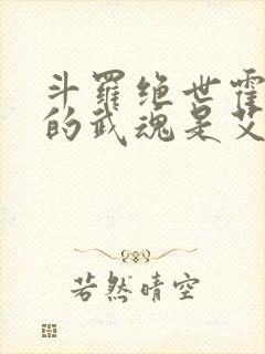 斗罗绝世霍雨浩的武魂是艾露猫笔趣阁