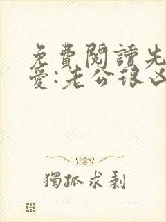 免费阅读先婚后爱:老公很凶猛封面