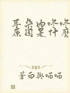 耳朵内咚咚响的原因是什么