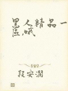 黑人精品一区二区,哦