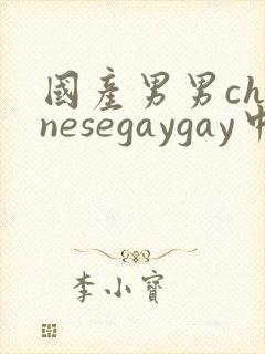 国产男男chinesegaygay中国帅哥网站