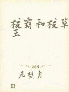 校霸和校草双男主