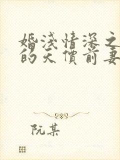 婚浅情深之总裁的天价前妻全文免费封面
