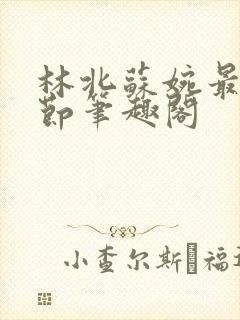 林北苏婉最新章节笔趣阁