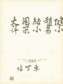 大团结赵健江晓萍宋小易小说封面