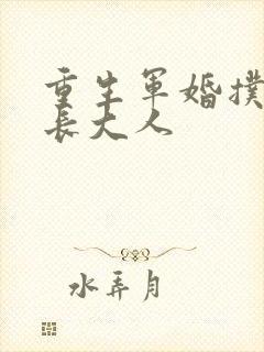 重生军婚扑倒首长大人