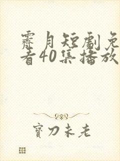 霁月短剧免费观看40集播放