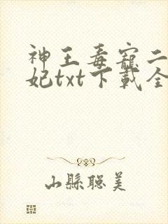 神王毒宠二嫁王妃txt下载全本