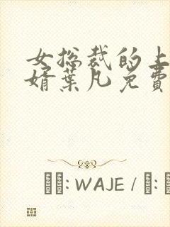 女总裁的上门女婿叶凡免费