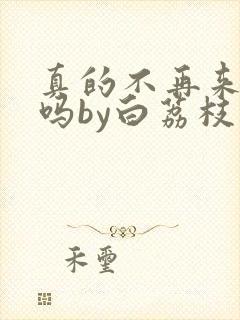 真的不再来一次吗by白荔枝免费阅读小说