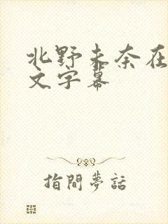 北野未奈在线中文字幕