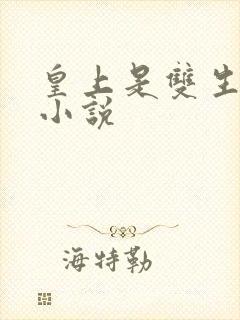 皇上是双生子的小说