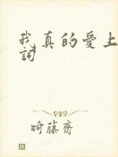 我真的爱上你歌词