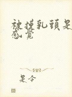 被摸乳头是什么感觉