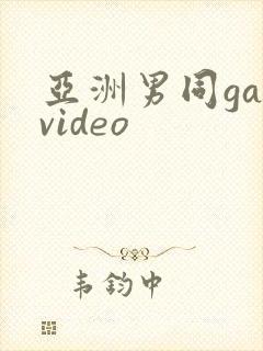 亚洲男同gayvideo