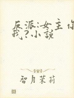 反派:女主你搞我?小说封面