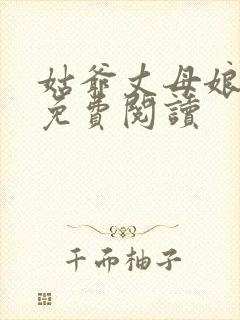 姑爷丈母娘小说免费阅读封面