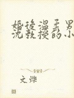 婚后温柔男主叫沈教授的小说