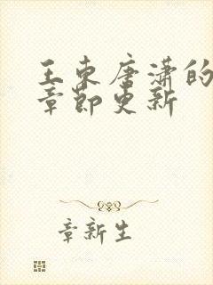 王东唐潇的最新章节更新