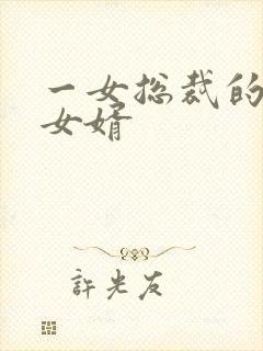 一女总裁的上门女婿封面