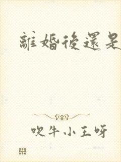 离婚后还是同居封面