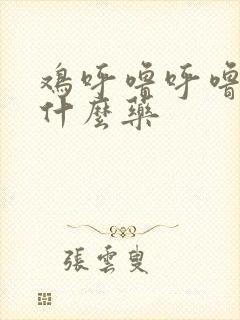 鸡呼噜呼噜该喂什么药