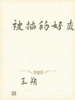 被插的好爽小说封面