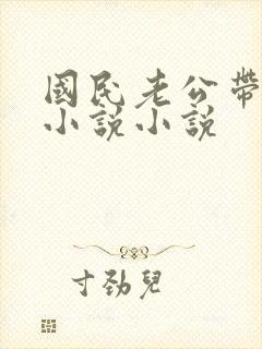 国民老公带回家小说小说