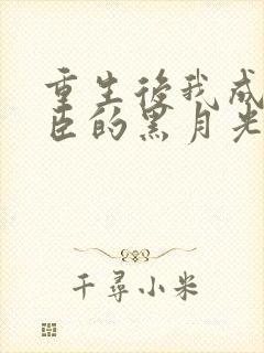 重生后我成了权臣的黑月光txt